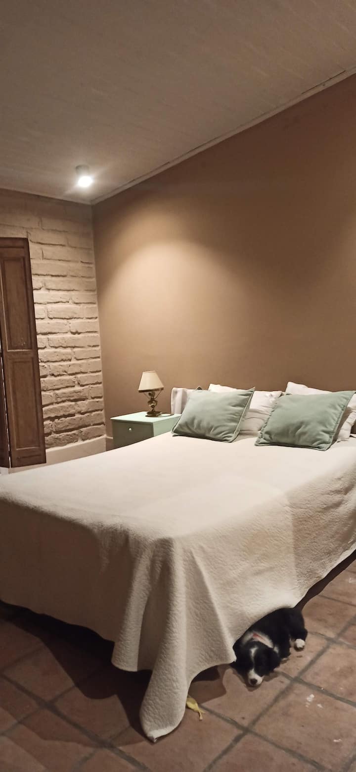 En-suite kamer met uitzicht op de tuin 