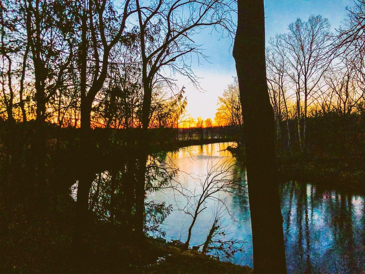 The tranquil Kokosing River is framed by silhouettes of trees as sunset colors reflect on the water's surface. The scene captures a serene moment, highlighting the peaceful natural environment and the interplay of light and shadows, creating a calming atmosphere.