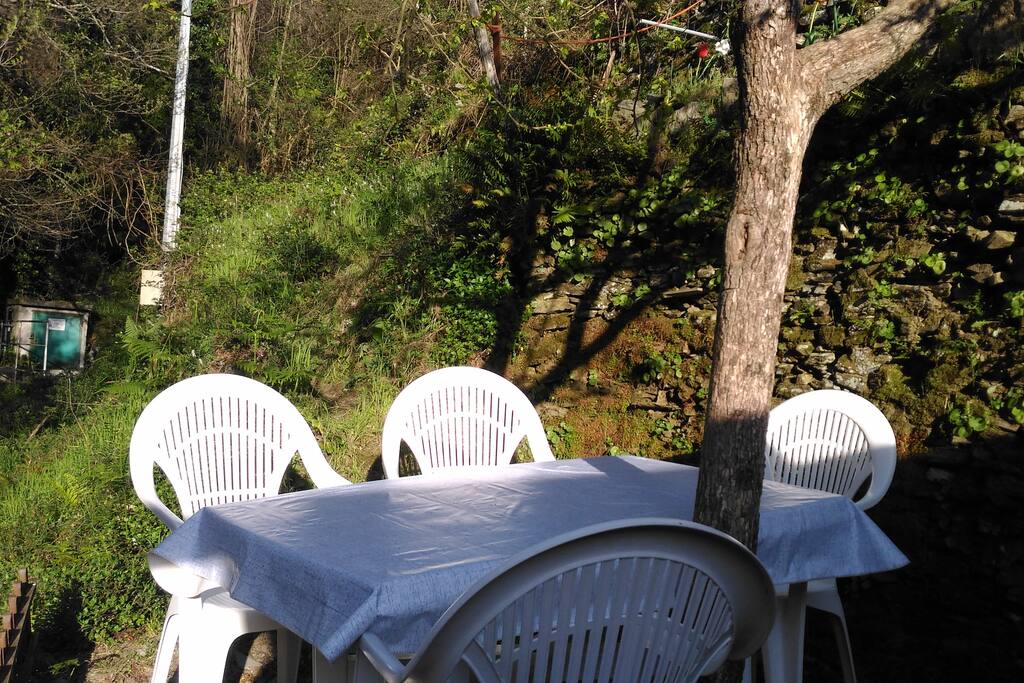 Terrazza all'ombra