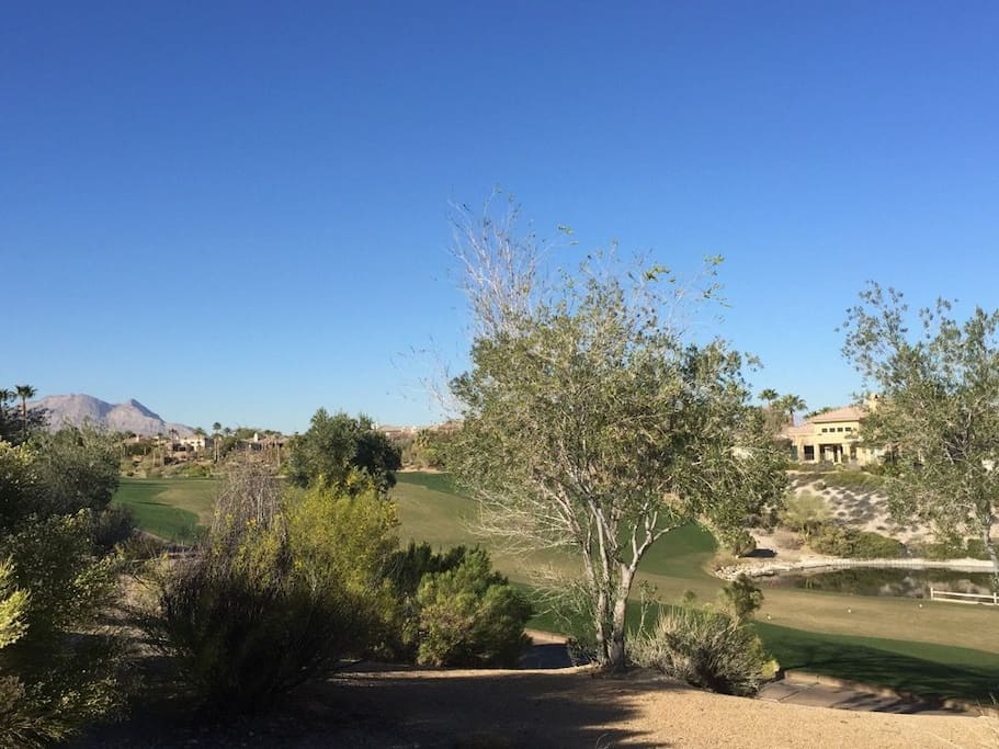 View of golf course out of back yard