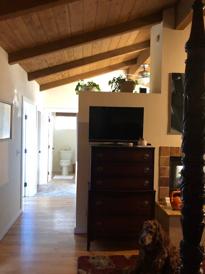 Casa De 823 Spanish Style With Beautiful Gardens. - Coronado Island, CA