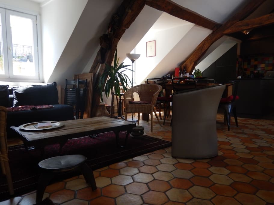 salon avec canapé-lit pour 2 personnes (living-room with sofa for 2 persons)