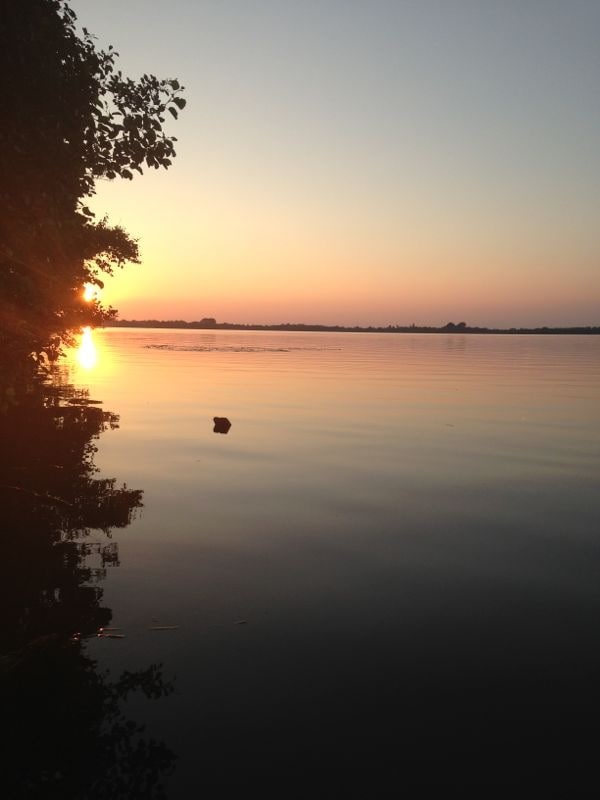 The serene surface of the water reflects a soft sunset, blending warm hues of orange and pink. Silhouetted trees frame the scene, creating a tranquil atmosphere as the sun approaches the horizon, illuminating the peaceful surroundings.