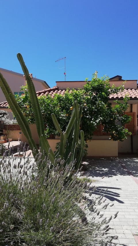 Top Airbnb: The House of Lemons in Castiglione Della Pescaia