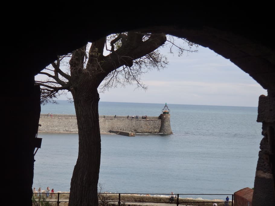 VUE DU CHATEAU DE COLLIOURE