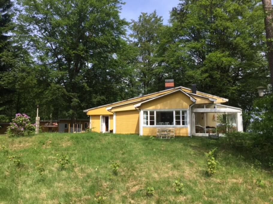 House from garden in summertime