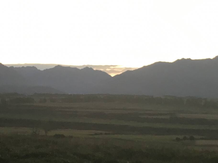 Mystical evenings