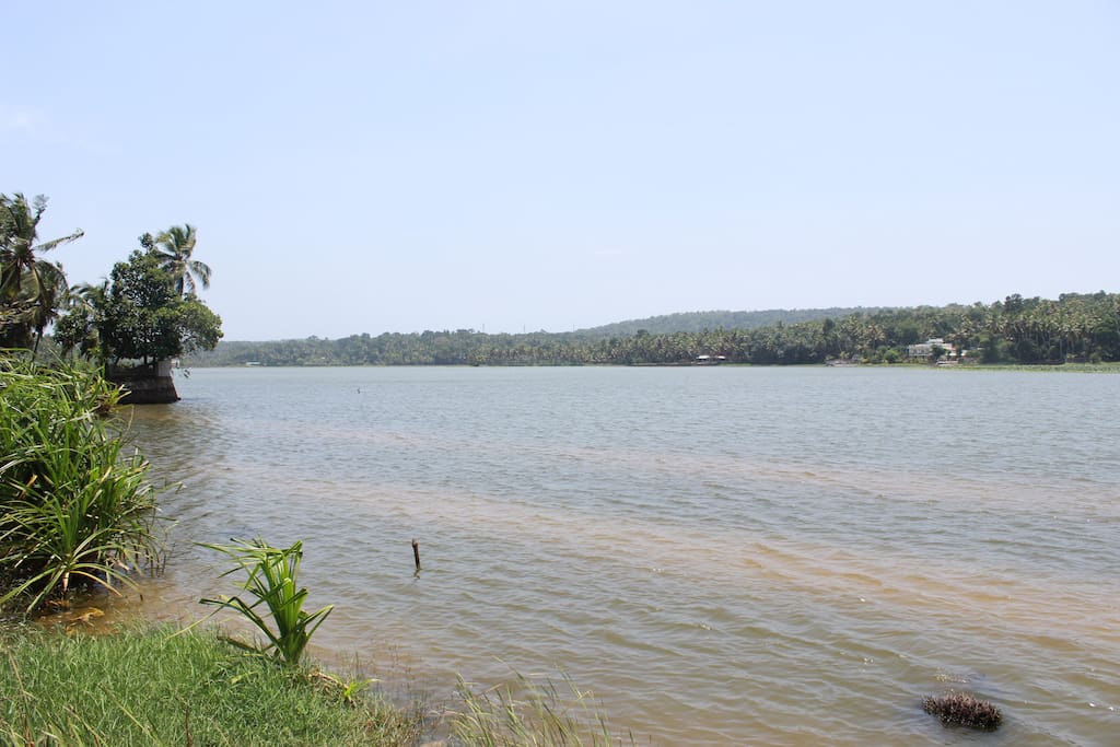 Vellayani lake