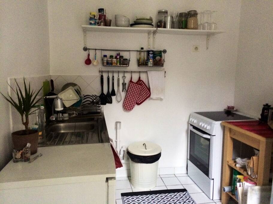 Cuisine