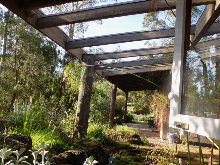 The native gardens originally designed by Gordon Ford