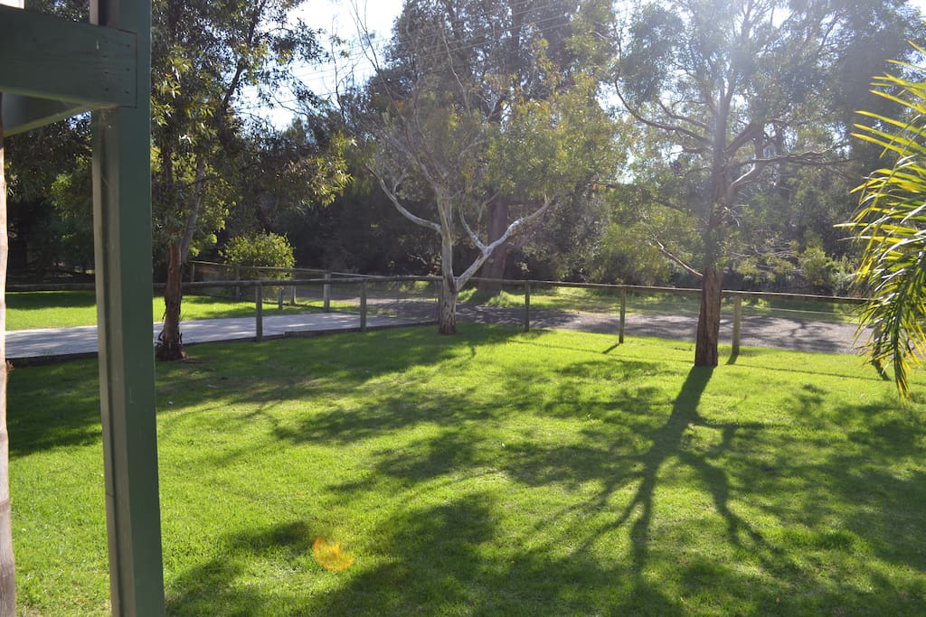 Front Yard