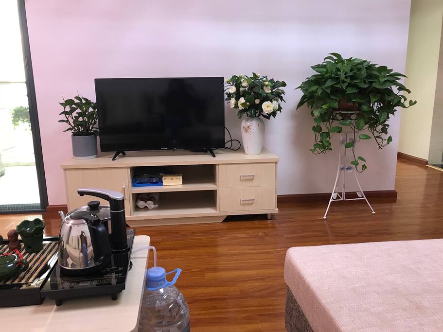 客厅电视
