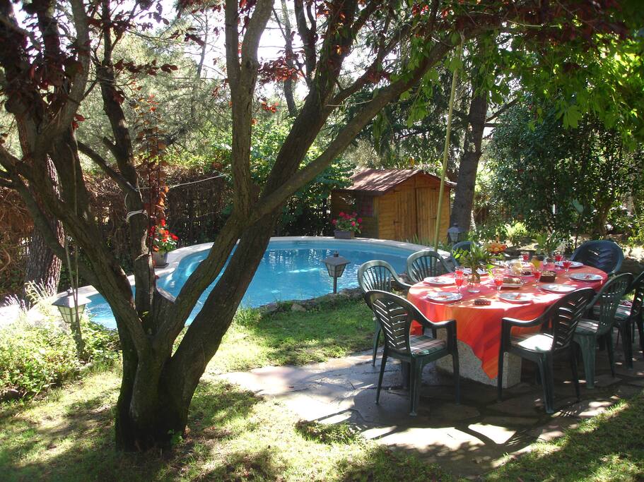 Jardín, piscina.