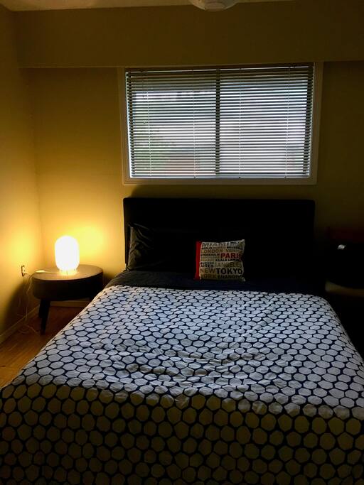 Library room with lamp