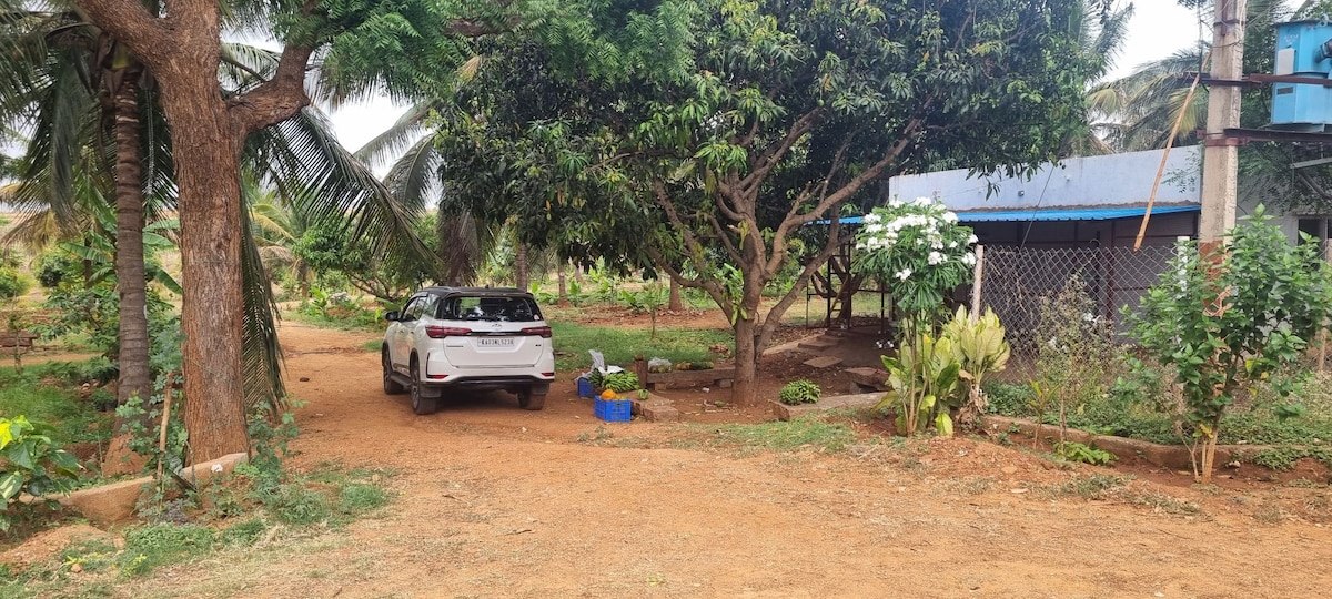 A spacious outdoor area features a parked vehicle surrounded by lush greenery. Mature trees provide shade, while a small seating area is visible near the plants. The property showcases a blend of well-maintained garden space and earthy paths leading to the farmhouse.