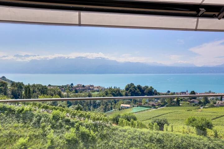 Villa de standing Le Haut des Vignes Lutry/Lavaux gallery image 4