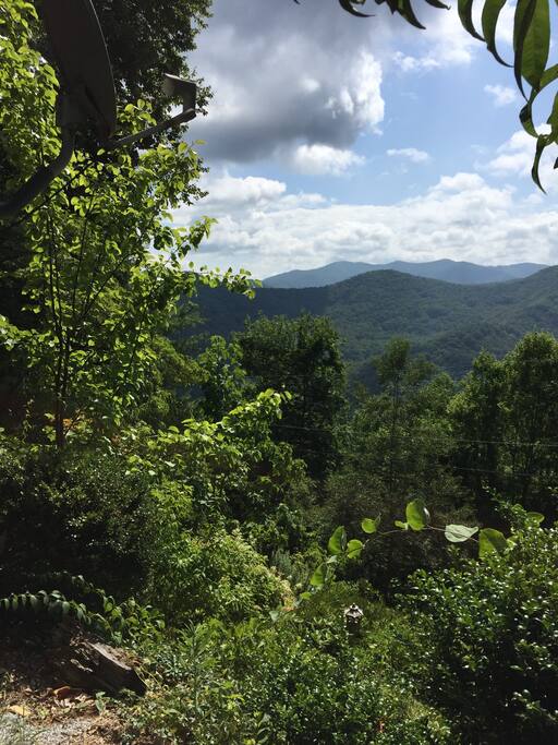 View from deck