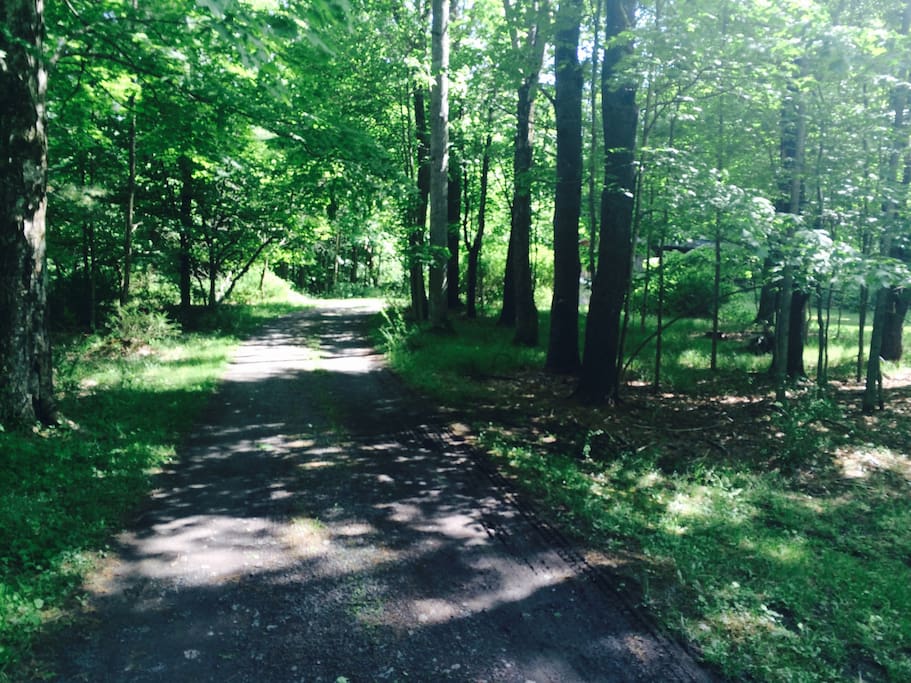 Private Road to Cottage