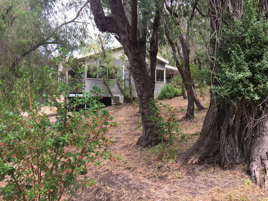A child's playground surrounds the house