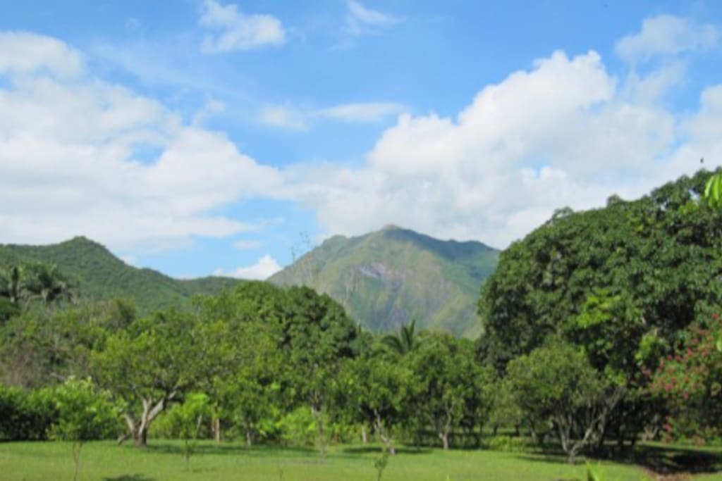 Vista hacia los cerros