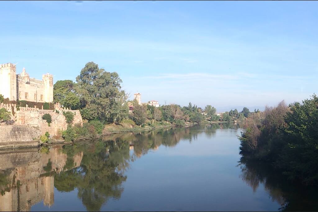 Castillo de Malpica de Tajo