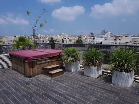 Penthouse with park view