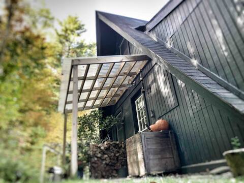 Hawkhill A-Frame hide away Catskills 30 acres