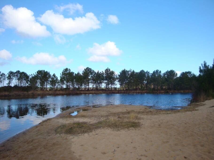la plage à proximité à pied