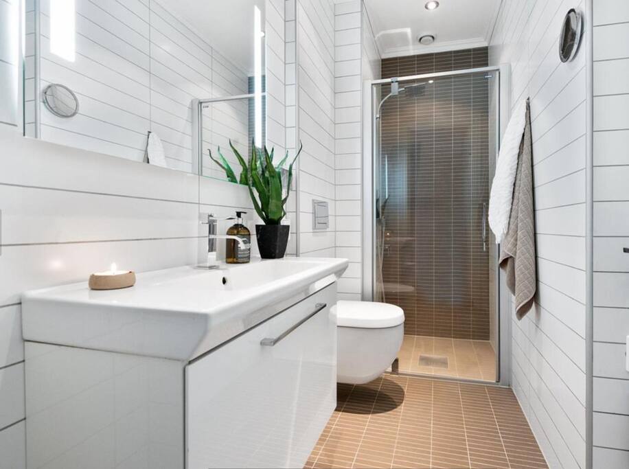 The bathroom. Towels and toiletries as shampoo and soap will be provided.