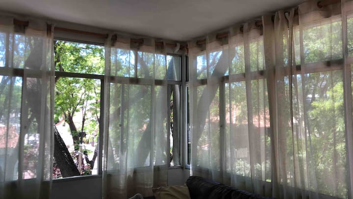 Apto. En Malvin. 1 Cuarto. Muy Luminoso Y Seguro. - Montevideo