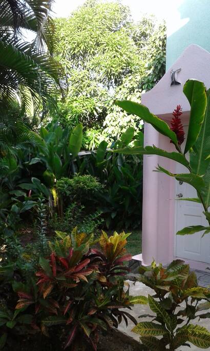 Another view of Private entrance