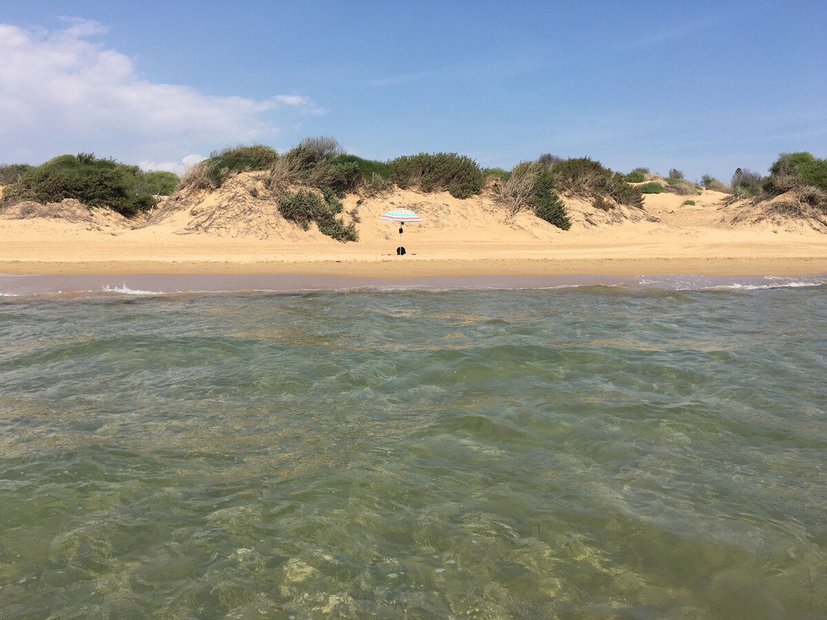 A serene stretch of sandy beach is framed by gently sloping dunes covered in sparse vegetation. A solitary beach umbrella is positioned on the shore, providing shade. The clear water reflects sunlight, creating a tranquil atmosphere at the water's edge.