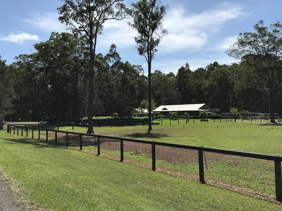 Our paddock