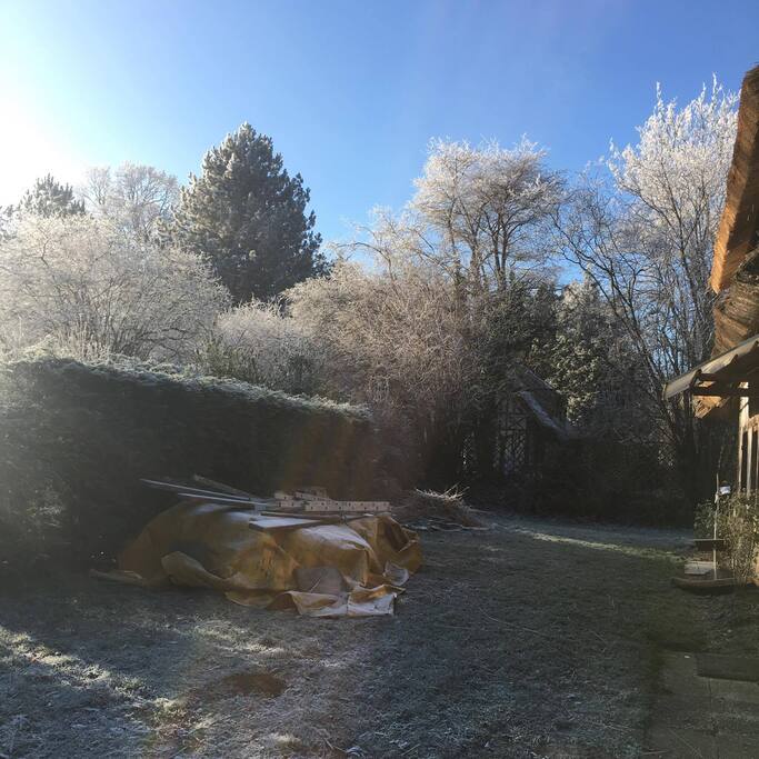 One part of the typical garden !