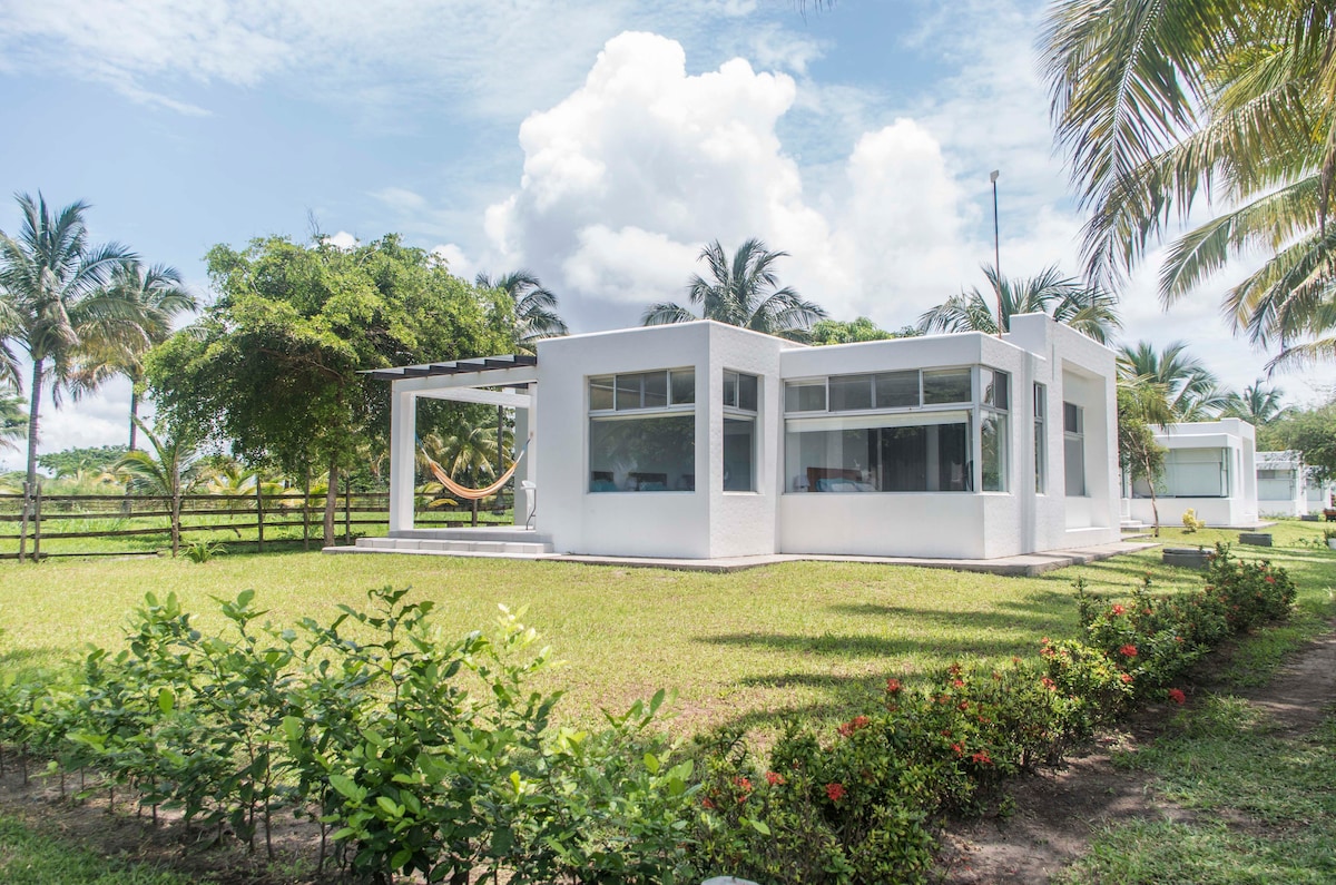 A modern bungalow with large windows showcases a bright and open design. The exterior is surrounded by green lawns and flowering shrubs. A hammock is seen hanging under the porch, inviting relaxation in the serene outdoor setting.