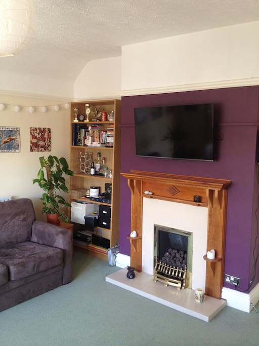 TV and fireplace