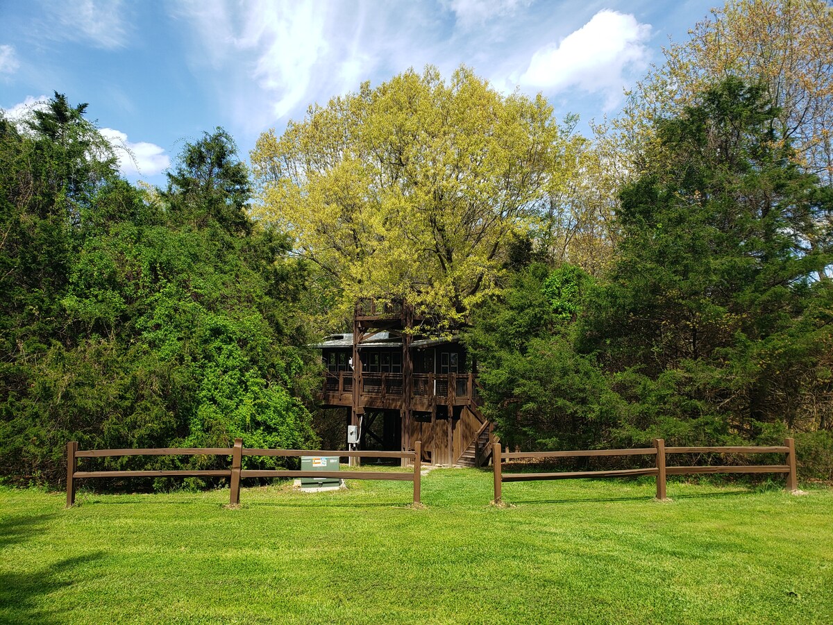 The Treehouse at Wolf Springs Treehouses for Rent in Harrison