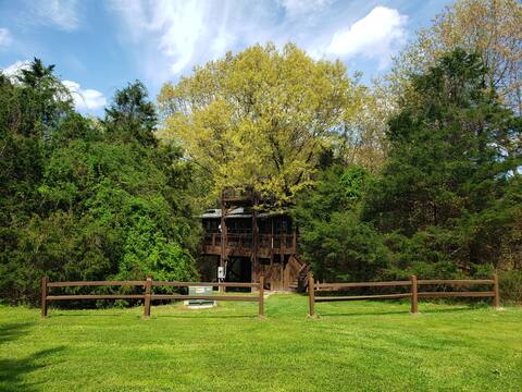 The Treehouse at Wolf Springs