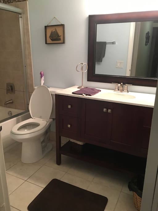 Brand new totally renovated bathroom in 2013