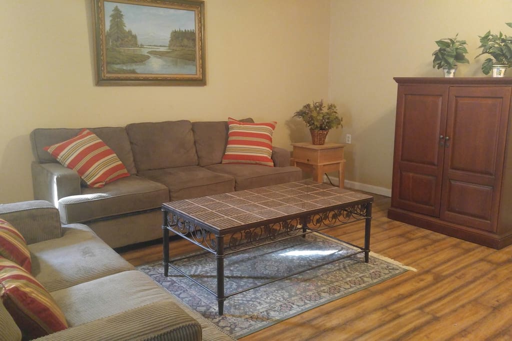 Living Room with TV, DVD, HD Antenna
