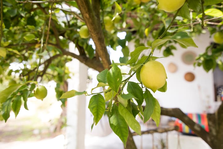 A casa da avó Rosa Guesthouse- Quarto triplo