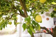 A casa da avó Rosa Guesthouse- Quarto triplo