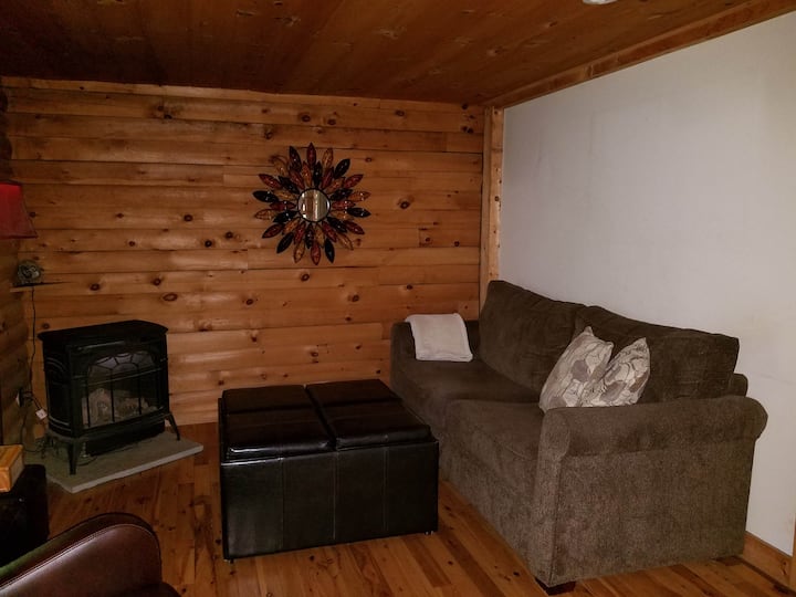 Pull out couch (queen)