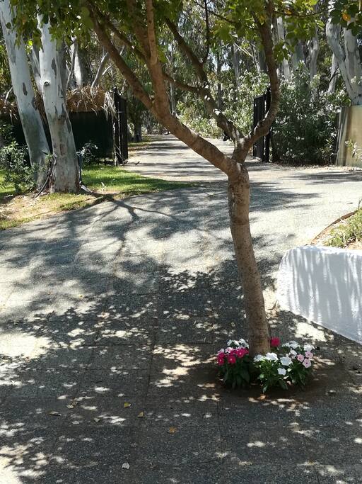 Entrance of the villa.