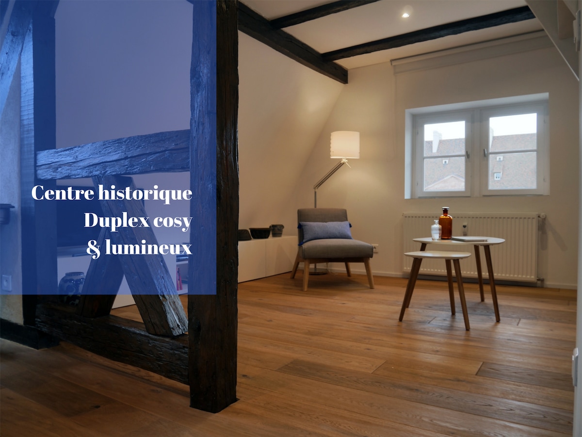 A cozy and luminous duplex is featured, showcasing wooden beams that enhance the historic charm. A comfortable armchair is positioned beside a small table, with light streaming in from the window, which offers a view of the surrounding area.