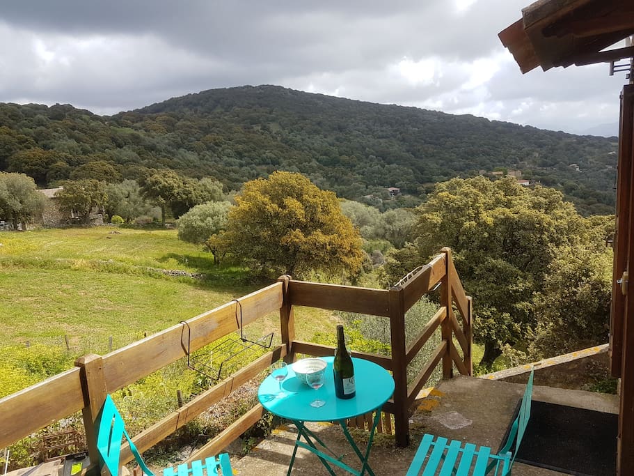 Vue depuis la terrasse