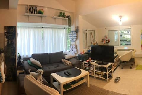 nice  studio in the  heart of TLV