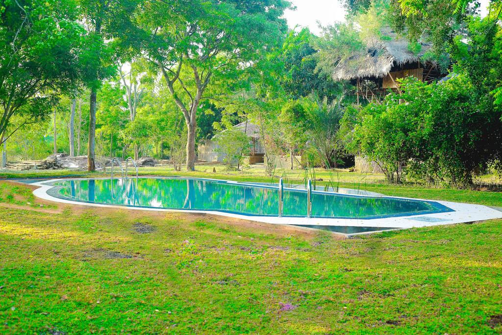 Salt Water Pool