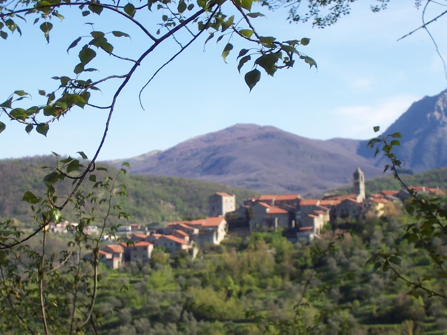 Panorama
