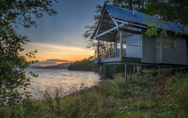 Osprey on the shores of Loch Tay